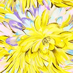 Şort Lilith Şort resmi